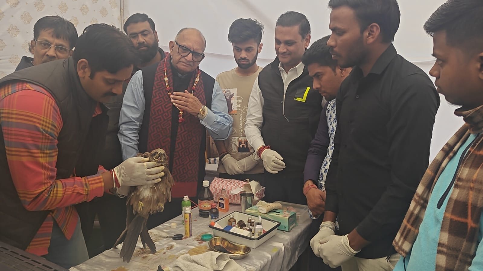 Mountains in the Clouds