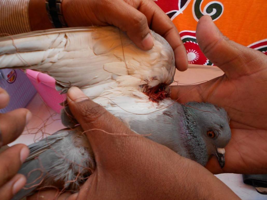 Wintry Mountain Landscape